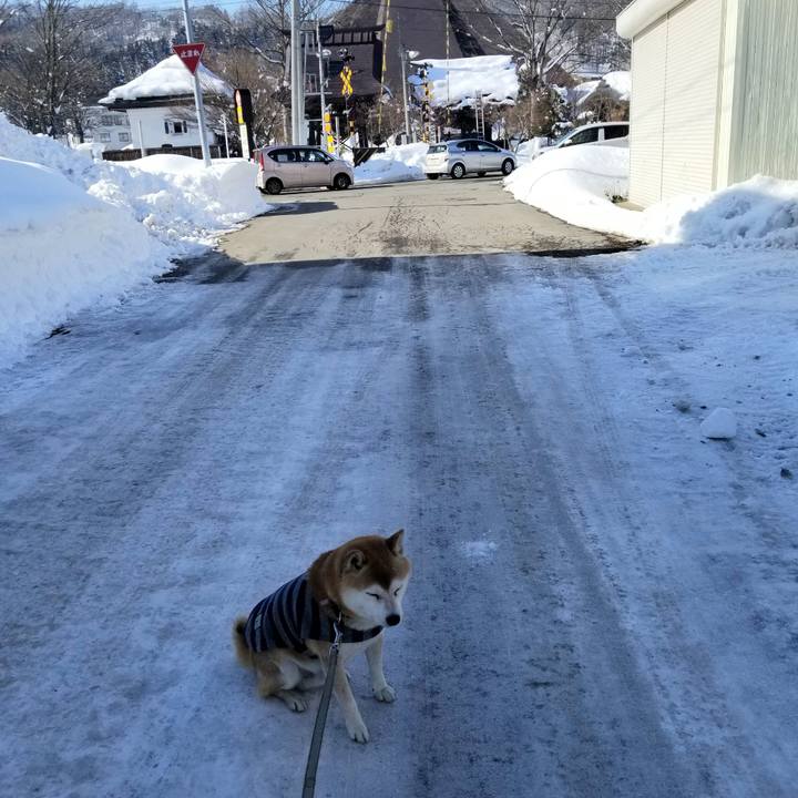 B7e5d1f5 a490 4cd5 8646 2367bb59d573 1611205800358