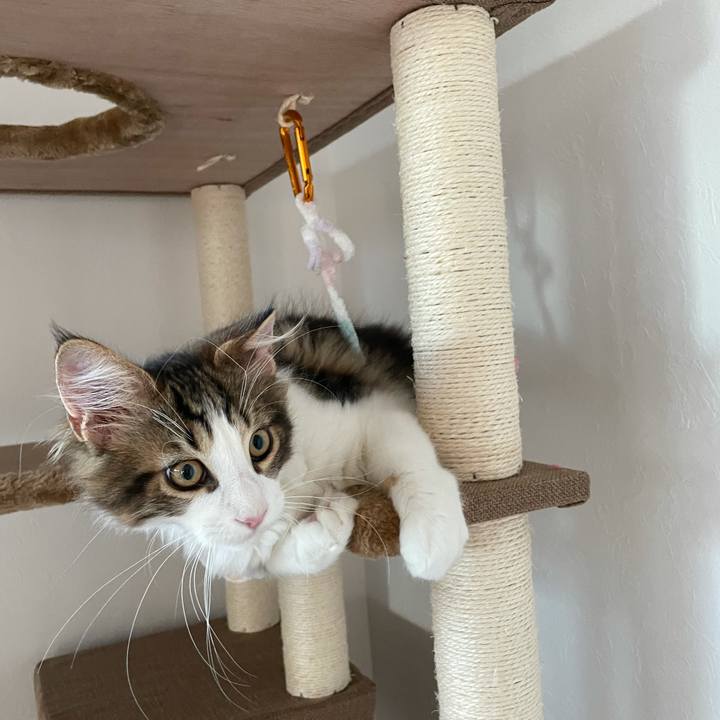 B7e5deaf 22e2 48f5 8215 5ef0f47c24fc 1634767137532