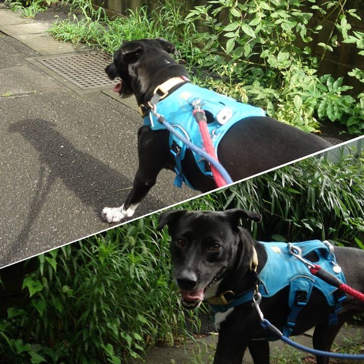 B7e652db d176 42bb ab13 55817c6ede8d 1625875544914