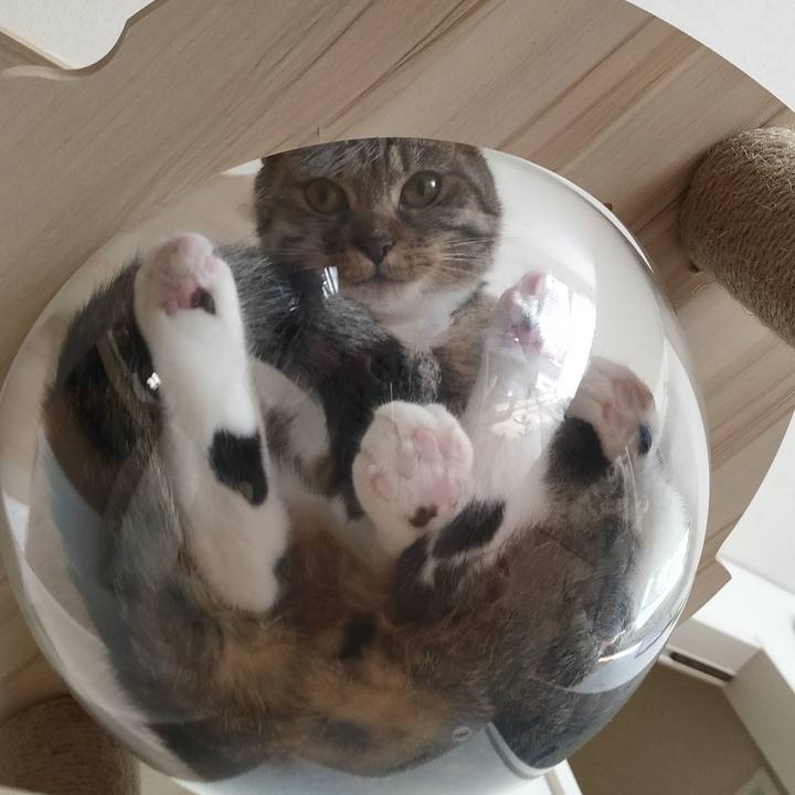 B7e66215 5b0c 4de4 854d 8870f18004b6 1663289267132