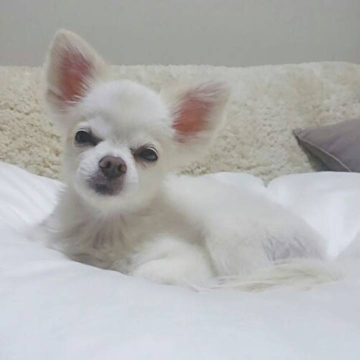 B7e68125 54ca 4544 8f17 eabd7523eb7b 1556964856913