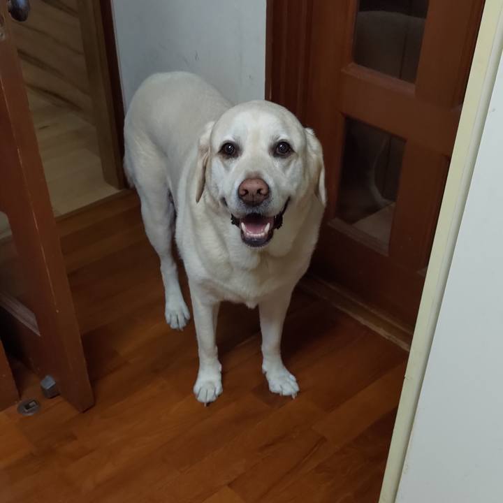 B7e681dc eb41 432f 8cef 8060d34a546b 1721476010090