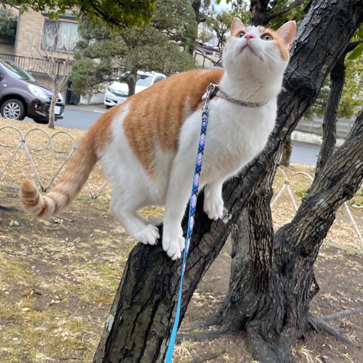 B7e6842e 9125 4aad b27e 65cc4ee7037d 1645347384920