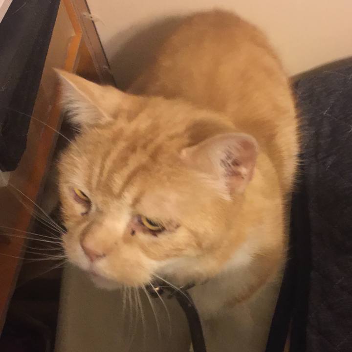 B7e6a00c c81e 42f6 91ab c61216c0a8db 1554985913477