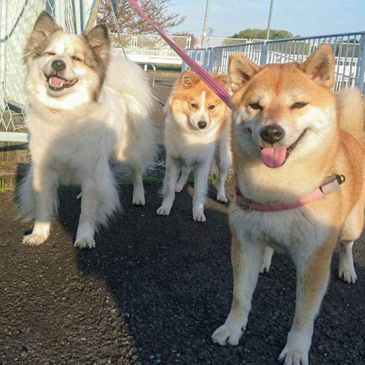 B7e6a1d6 b025 4533 8718 998fc3680714 1555422140807