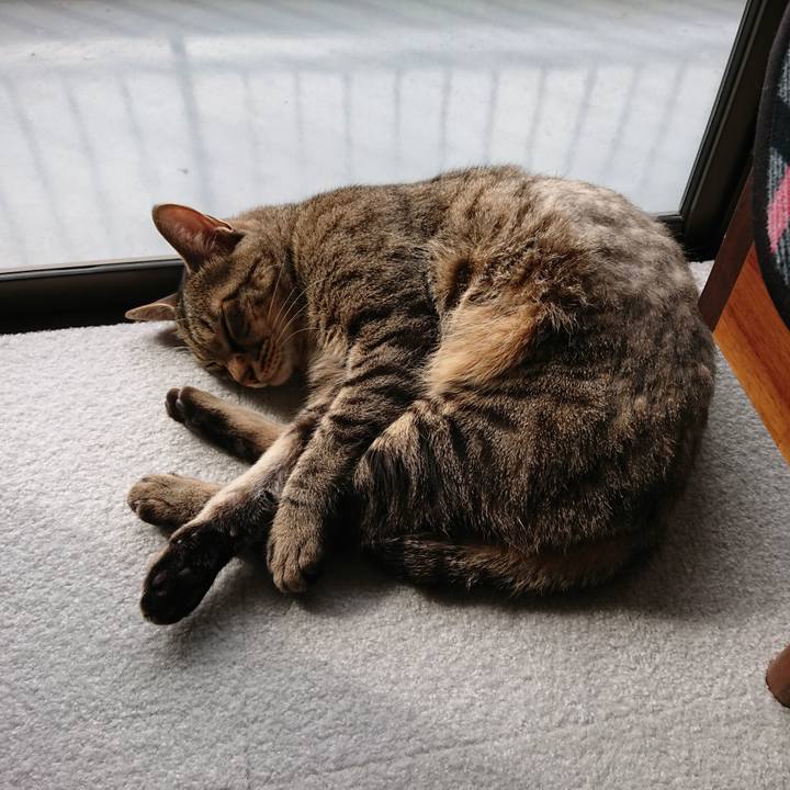 B7e6bb59 2b8c 4fe0 b160 28546de0ad3b 1602994845691