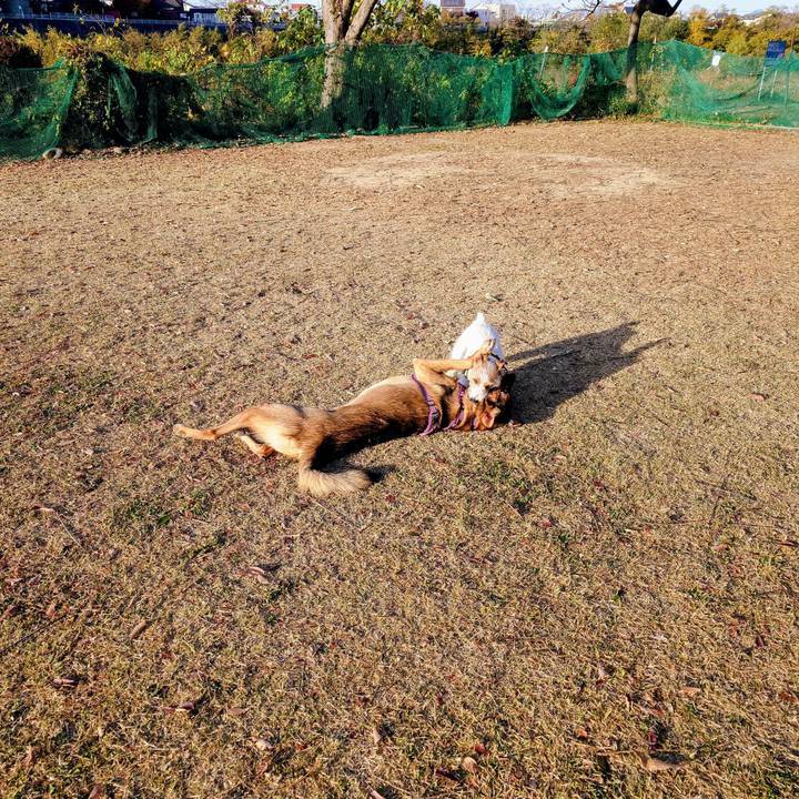 B7e7054f c2f1 4215 a0ff 715637fe50dd 1763965247519