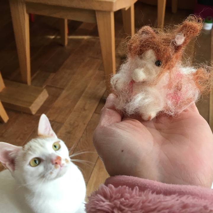 B7e73238 1ddb 4b22 b42d ba15ef448b96 1518930332604