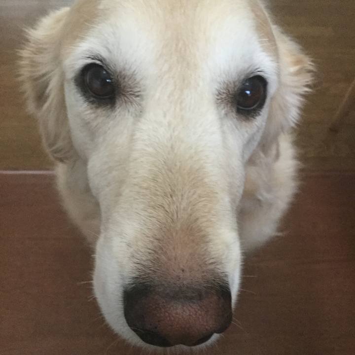 B7e73499 3db9 4e41 9469 102ec83c5fec 1570744744562