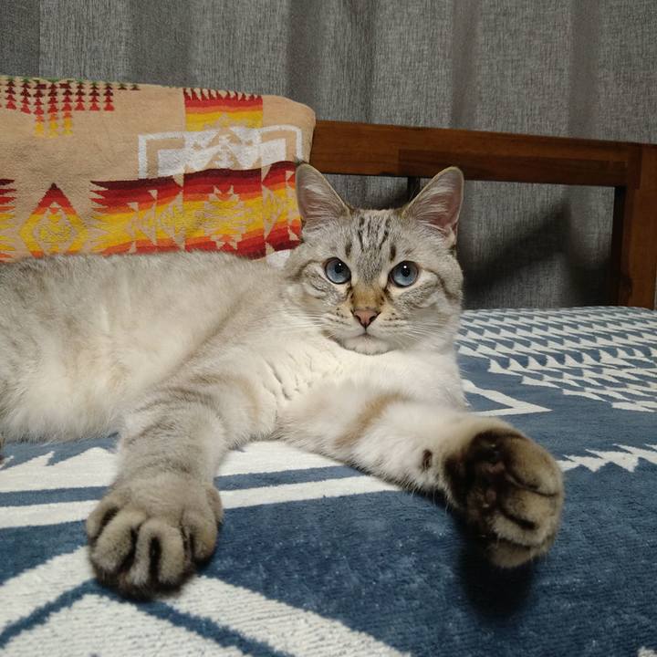 B7e7582a f6d2 446f aad5 7b23928b9857 1726490453451