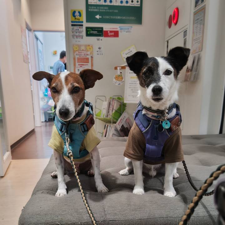 B7e77a32 85e3 4d2e 9817 2ba9a7246502 1758936314927