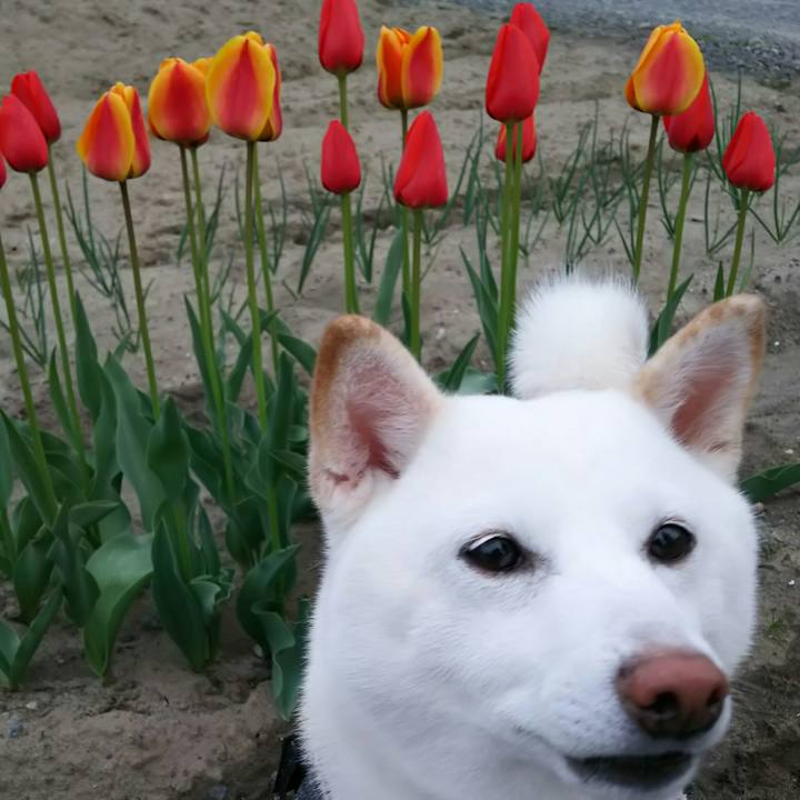 B7e7c79b 5d9d 4953 adbb f22b62ea152b 1523956258085