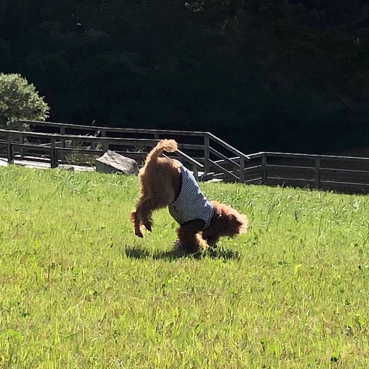 B7e7c930 2b38 4617 a682 be25e3f9f73e 1570611283176