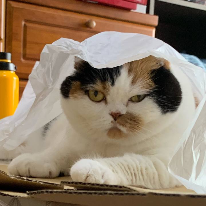 B7e7ca88 73ad 4ba8 b8c6 c321cd484aed 1565561936277