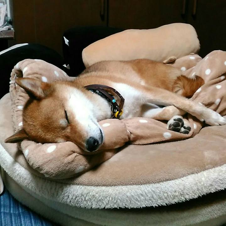 B7e7d90c 98e5 41d6 97a4 548c5b9fb2c4 1565437233044