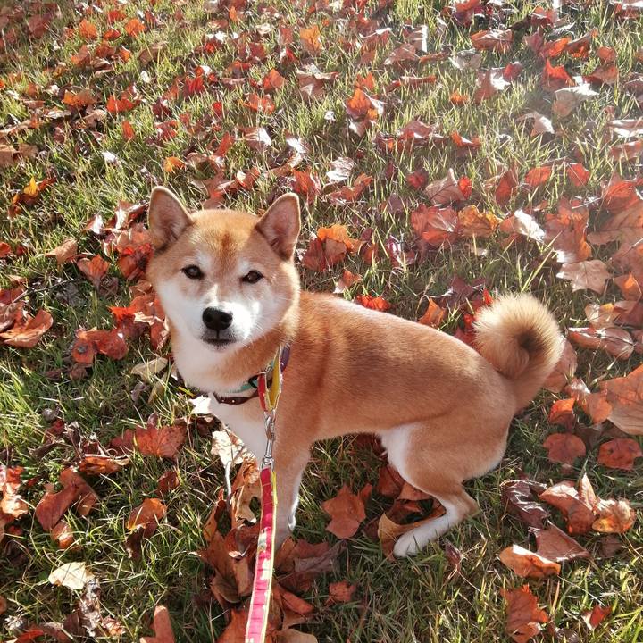 B7e8172d 4d33 4947 8aba a4eabc1f6354 1667563826111