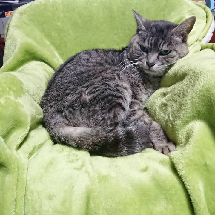 B7e83dbc 2dbb 4d3b 9d0c 63766cc9db72 1582840494564