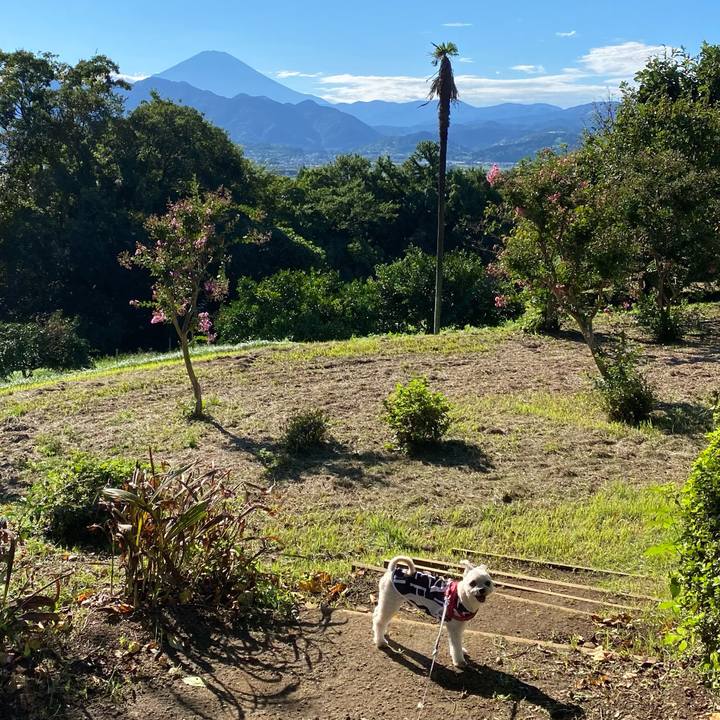 B7e84f18 94e1 42c6 bbe8 2b6491569189 1632044568743