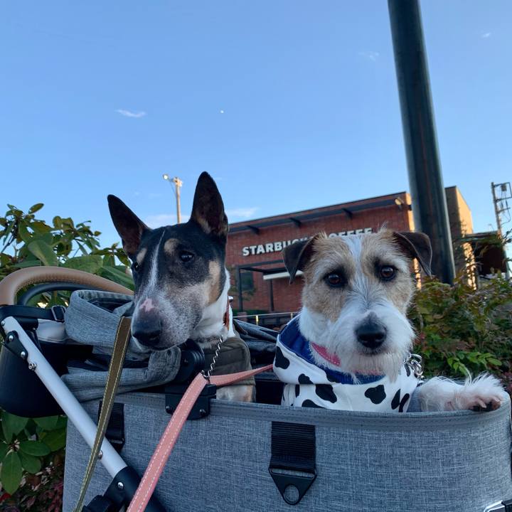 B7e8652d 9f04 4446 8c34 d01920674069 1609588367431