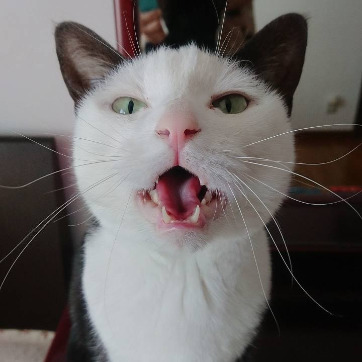 B7e8874f 8814 4580 8552 7775295ca393 1553477707940