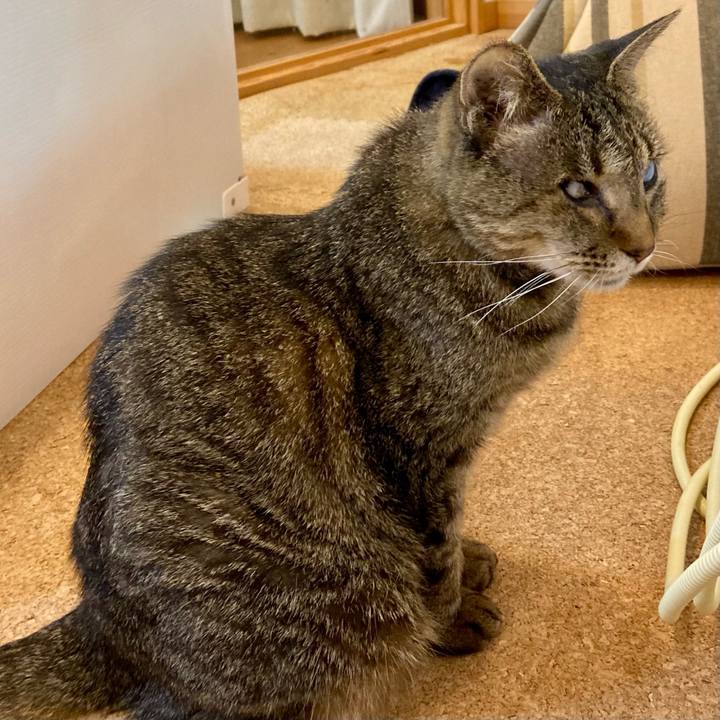 B7e888bc c467 41a0 921b 8d9d230c69af 1677490860631