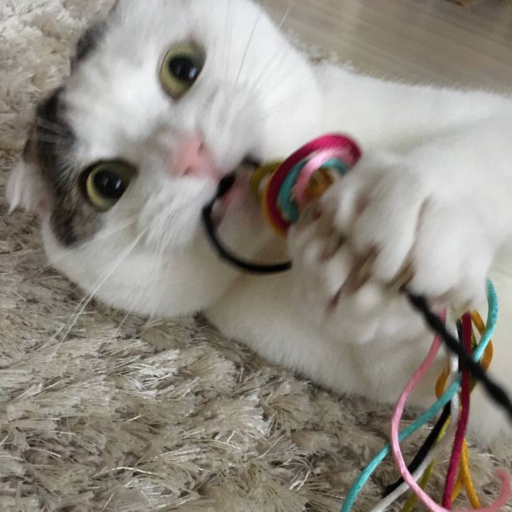 B7e89944 0331 4697 b59c 4b41d00378d2 1515384671758