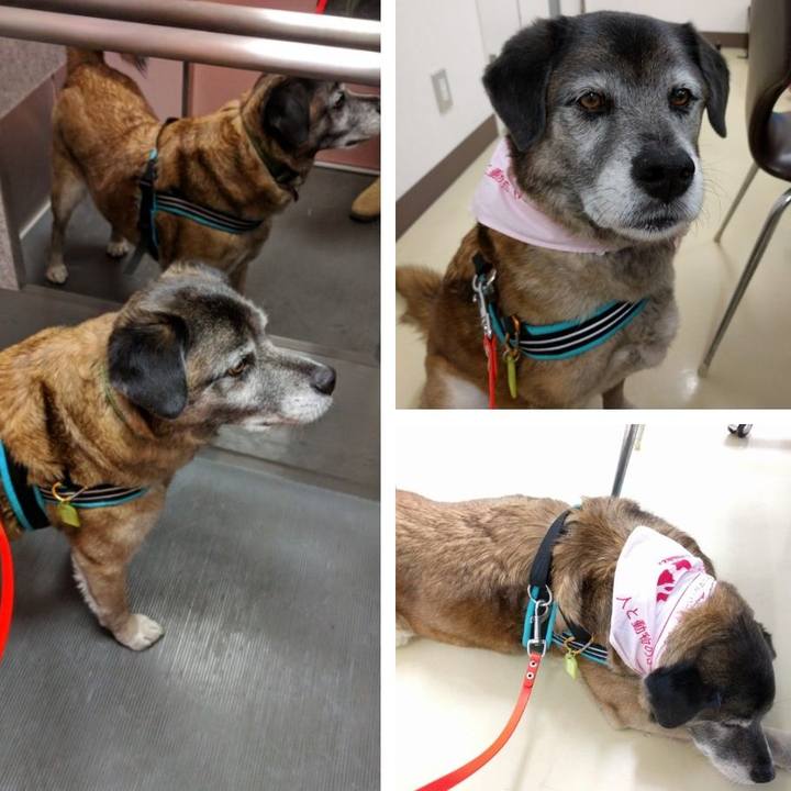 B7e8aab2 fb0c 4230 b72d 411dd66b7cd2 1519801090807