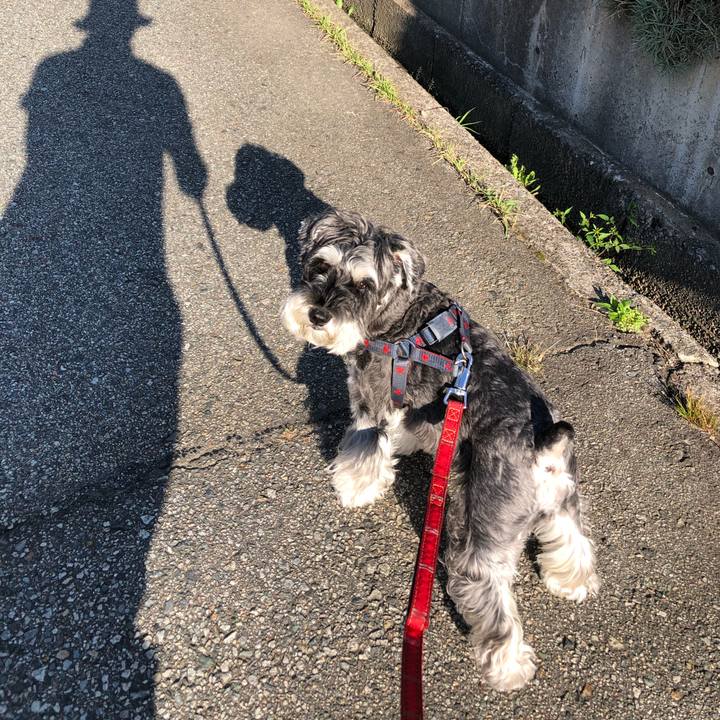 B7e97a8e 95eb 4815 b1e7 58cf5d175794 1664677117841