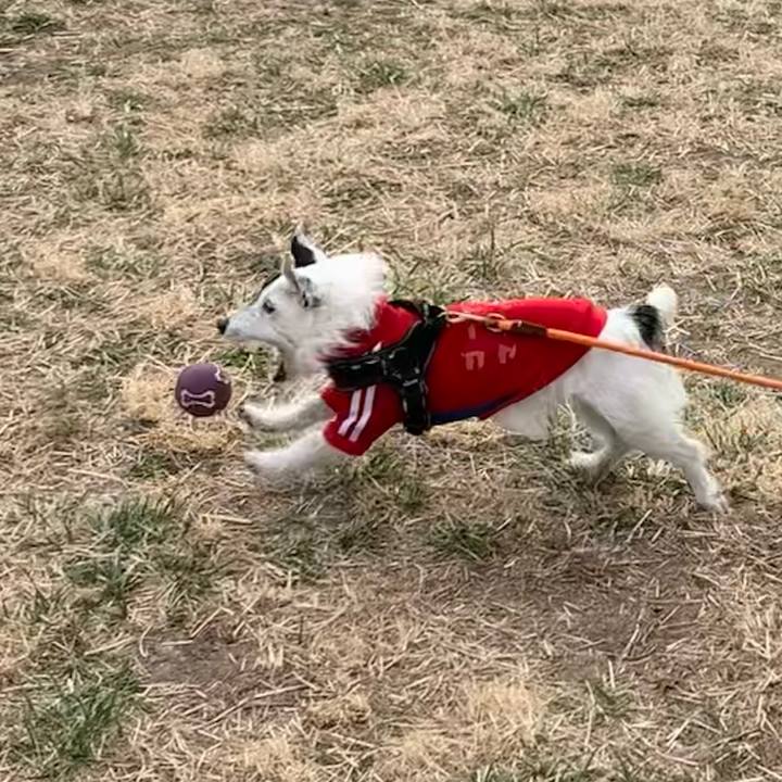 B7e988e8 cd38 47a3 9824 6190094f22b3 1677806048901