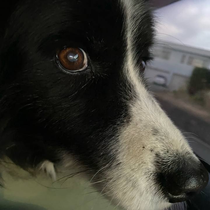 B7e9b5d0 e876 4a86 8431 f1c3007f7d3e 1700777262742