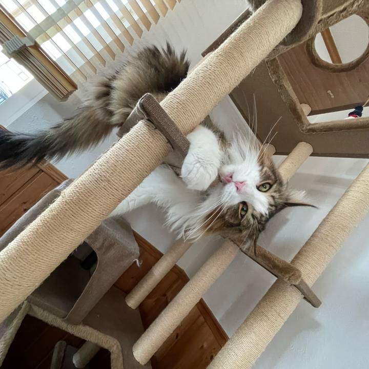 B7e9d621 24b3 4623 b731 7b9e9dc68fb7 1679521617422