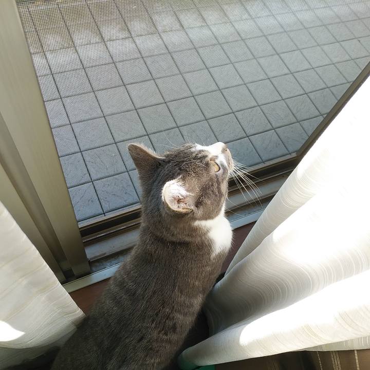 B7e9d65d 1eea 48cb 87d5 1ff949c34700 1578024992763