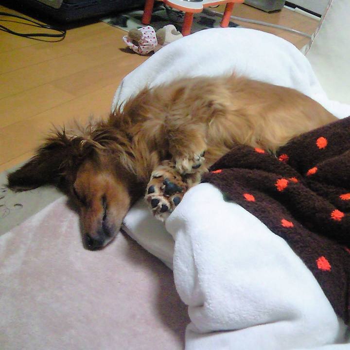 B7e9e5cf 057e 4497 9679 d18264edd36e 1540834880518