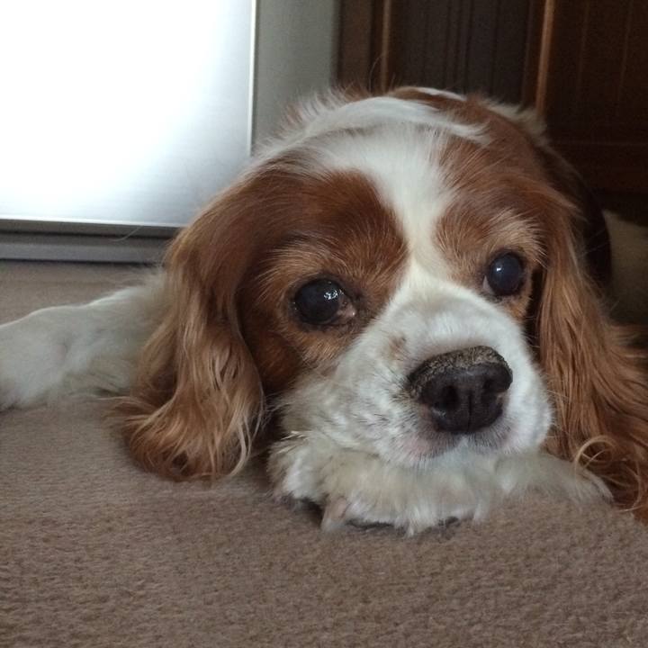 B7e9f31f 4fdd 4ed6 8020 c4a1aa5e7c77 1517831646111