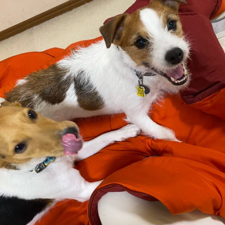 B7ea10fc f11f 49d7 b40c b3397afd1638 1765063659897