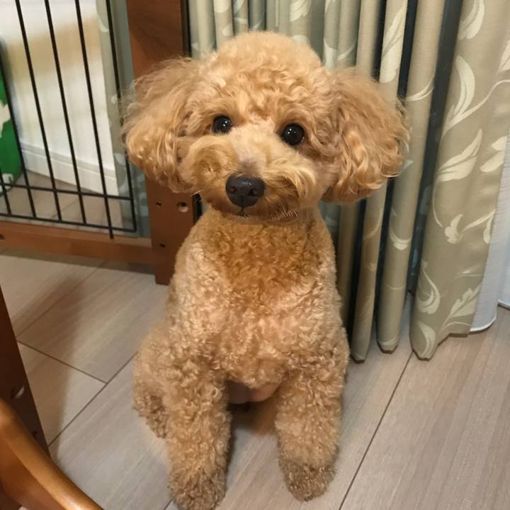 B7ea1e99 b90d 48a3 9a2a 5e1c66c344ea 1510239127346