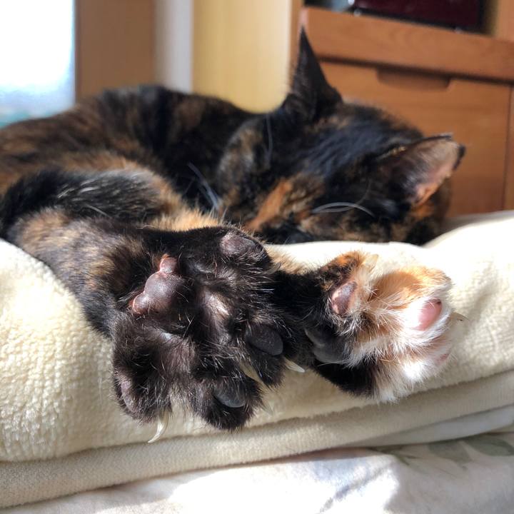 B7ea29fa 9213 49fc a7f7 1b6512640439 1587078897735