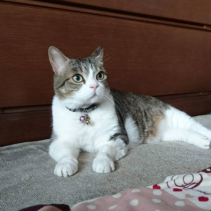 B7ea6ccc 0c13 4589 a6f0 113a83cfd87a 1523837194623