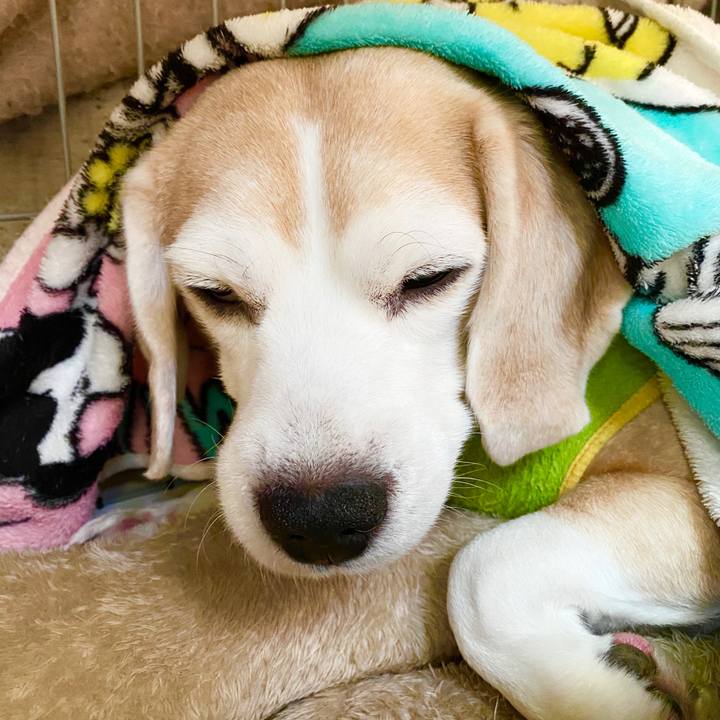 B7ea7274 9c01 48d1 858b 62b52ec163c5 1585114916198