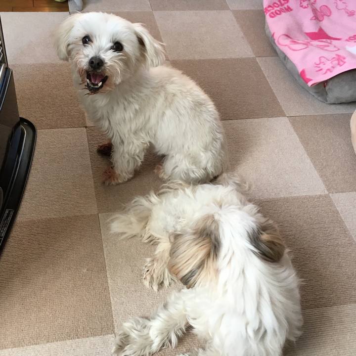 B7ea7866 f3a6 4882 aaf7 1aa9de6de94e 1611185253749