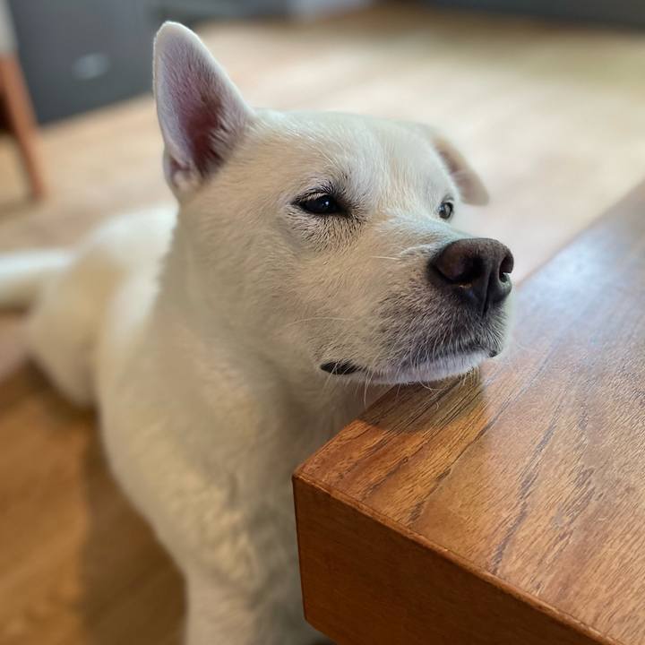 B7eacd9c 5d7e 4c98 8d66 c929fb03fe0f 1726458758568