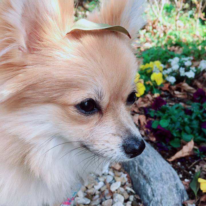 B7eb0b23 fa68 4af1 95be f0b5ad5fb93c 1520418514888