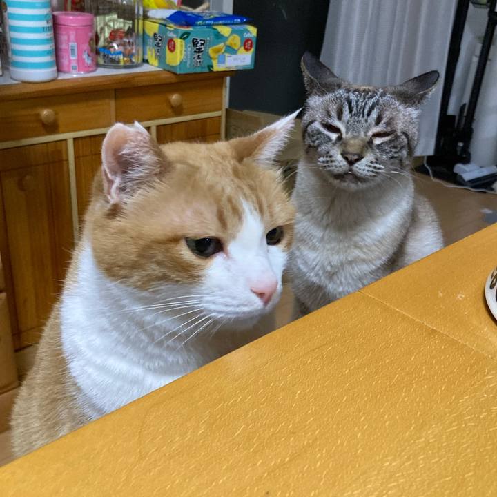 B7eb2ff1 45f1 46a7 9e52 e605c10c14f8 1758199314179