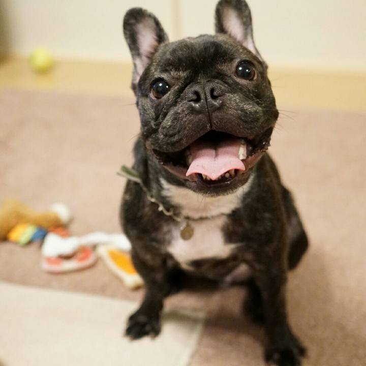 B7eb3926 ecd3 4ebc b691 d18659db661f 1507729335280