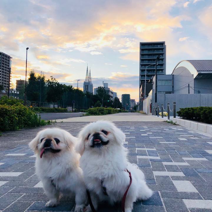 B7eb4bdb adda 4aad bcc4 e7ce70418bf9 1592859748525