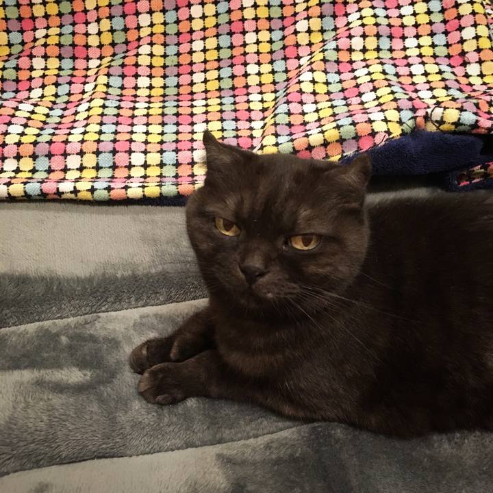 B7eb5a1f 10f7 4963 b3d9 242217e8040b 1545237176148