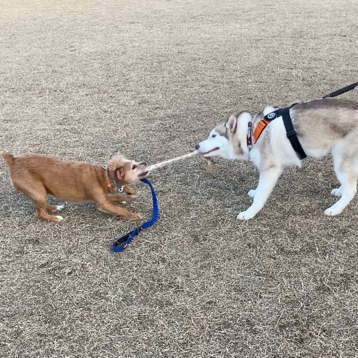 B7ebcb4f 3d8e 4e7f a190 79bd92fe1494 1675079182870