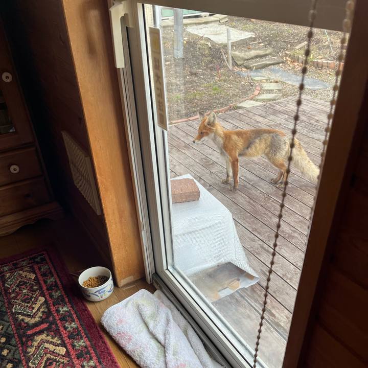 B7ebe02d a2e9 46dc 81d9 0ae5061f68c8 1745306126838