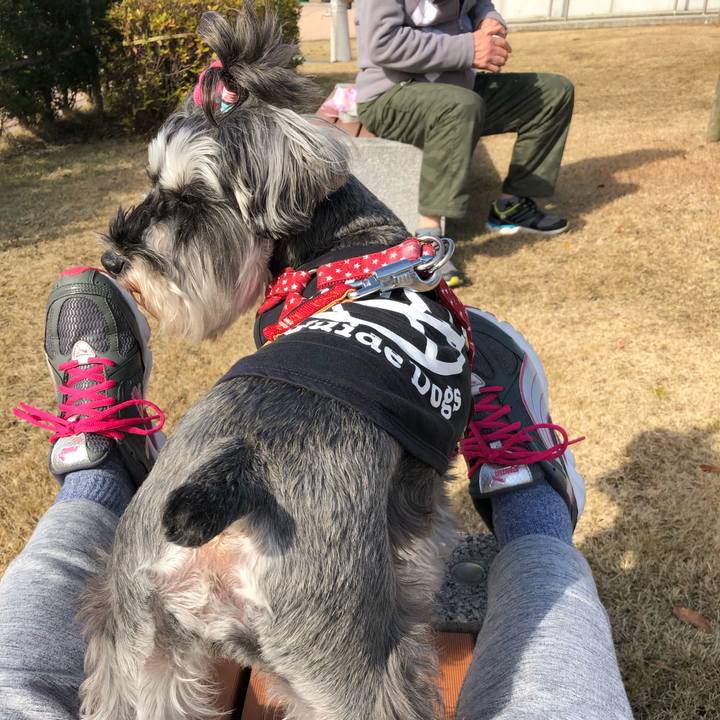 B7ec25d8 dd82 436f 911a f2b6b99f14ea 1547905709870