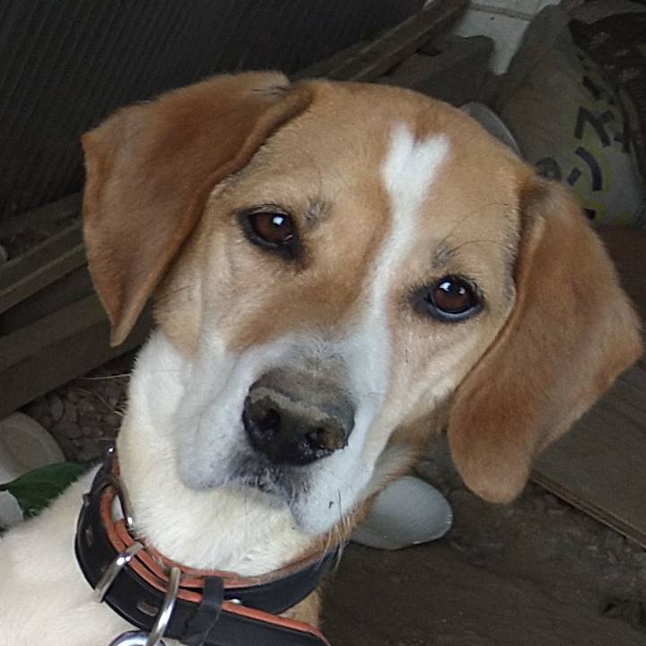 B7ec3112 29bd 4d7f b61a cfb0c4247521 1655127685284